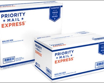 Express Shipping Upgrade (Large Frame)- If you paid for PRIORITY Shipping