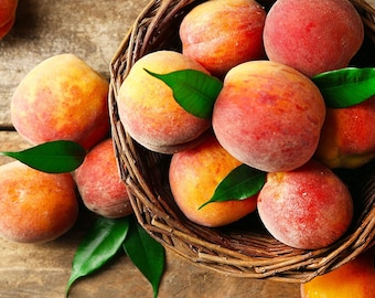 Può includere: Un cesto di vimini marrone intrecciato riempito con diverse pesche rotonde e vellutate con buccia nelle tonalità del giallo, arancione e rosso. Diverse foglie verdi sono inserite tra i frutti, e altre pesche e foglie sono sparse vicino.