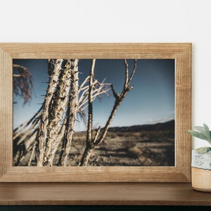 Joshua Tree Print, Desert Vibe, Instant Download, Digital Download, Printable Art, Room Decor, Wall Art