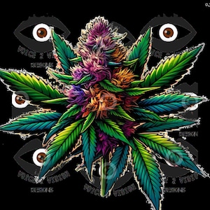 Puede incluir: Una ilustración colorida de una planta de marihuana con hojas verdes y cogollos morados y naranjas. La planta está rodeada de seis ojos estilizados con iris marrones.