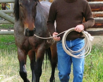 Bison Ranch Sweater