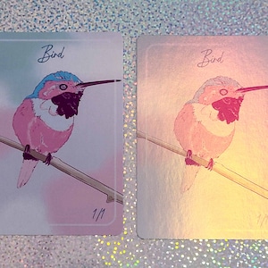 May include: Two cards featuring an illustration of a pink hummingbird. Both cards are titled "Bird" and have the number "1/1" written on them. The card on the left has a light blue background and the card on the right has a gold background.