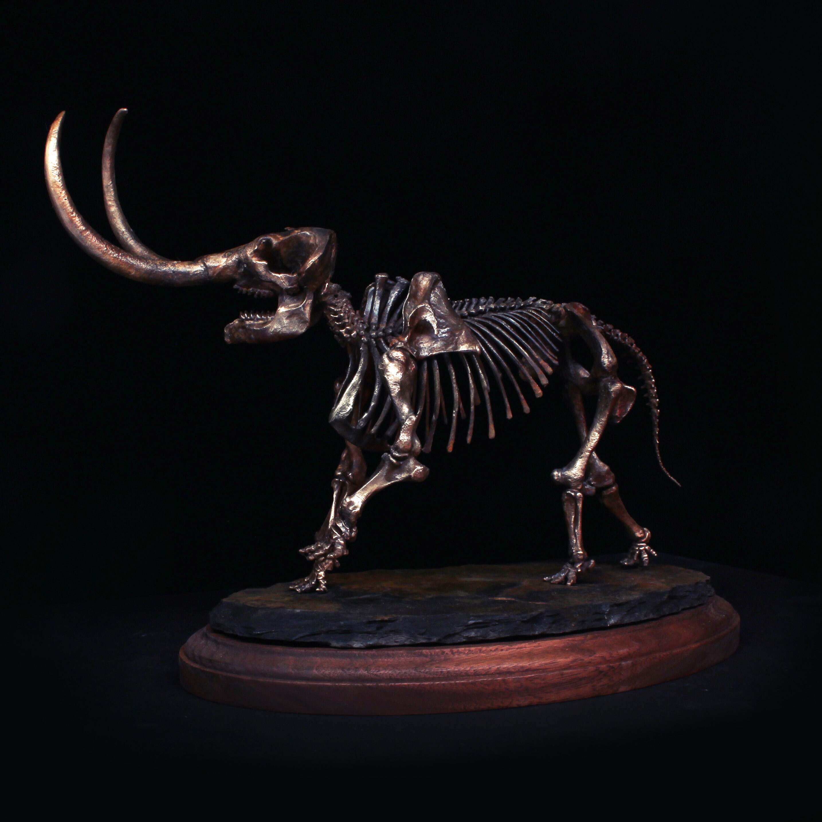 MASTODON - Insanely Detailed 1/16 Scale Skeleton Cast in Bronze, Brass