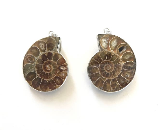 Ammonite Fossil Pendant, Add This Pendant To Any Mala From True Nature Jewelry, Customize Your Mala Beads, Eliminate The Tassel