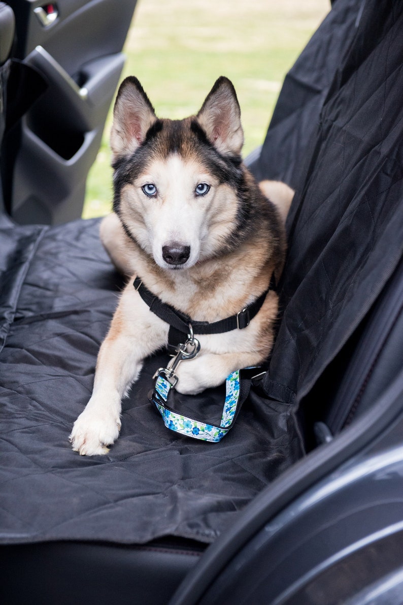 Pet Seat Belt >> Dog Seatbelt Seat Belt Dog Pet Seatbelt Dog Accessories Etsy Pet Seat Belt >> Dog Seatbelt Seat Belt Dog Pet Seatbelt Dog Accessories Etsy