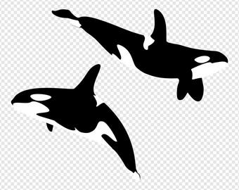 Download Orca Svg Etsy