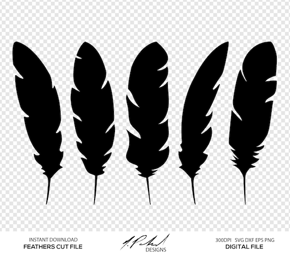 Download Feathers Digital Cut Files Digital Files Feather SVG | Etsy