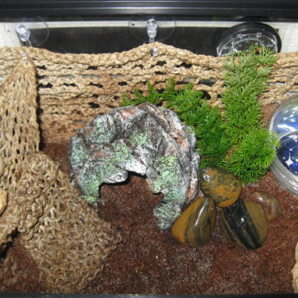 Hermit Crab Net Etsy