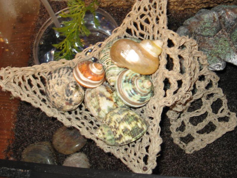 Hermit Crab Climbing Net Etsy