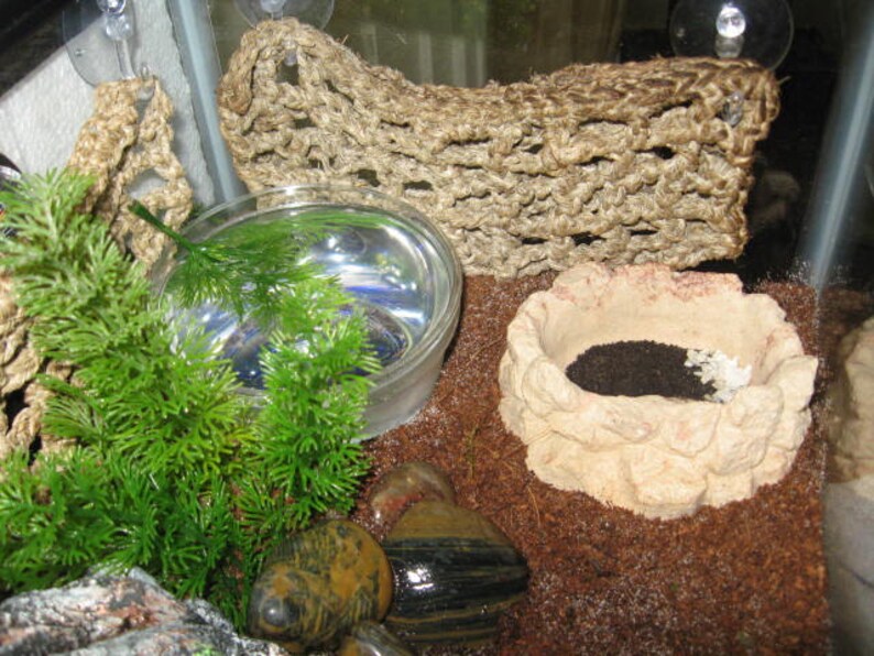 Hermit Crab Climbing Net Etsy