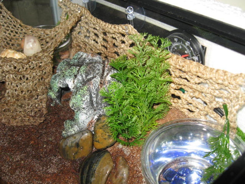 Hermit Crab Climbing Net Etsy