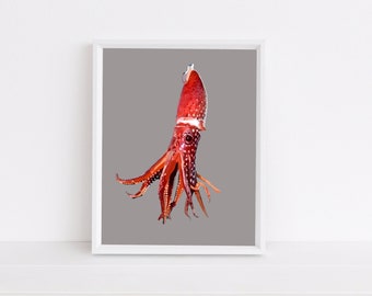 Red Squid Digital Art Print