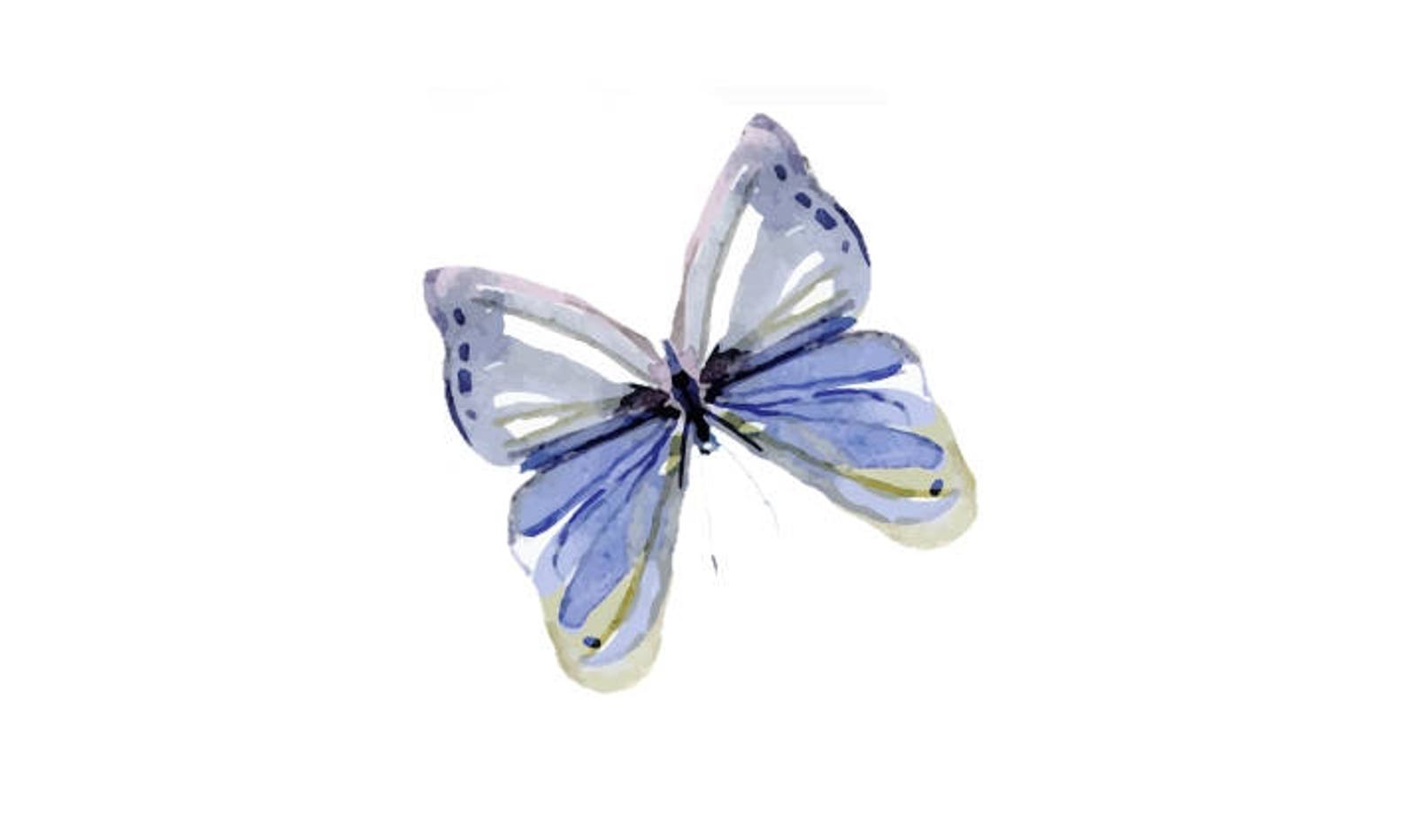 Fake Tattoo Butterfly Temporary Tattoo Colorful Watercolor Tattoo