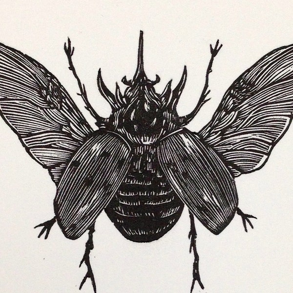 Rhinoceros Beetle Limited Edition Letterpress Print