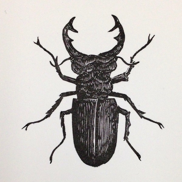 Stag Beetle Limited Edition Letterpress Print