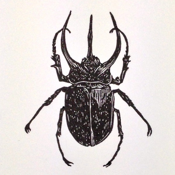 Atlas Beetle Limited Edition Letterpress Print