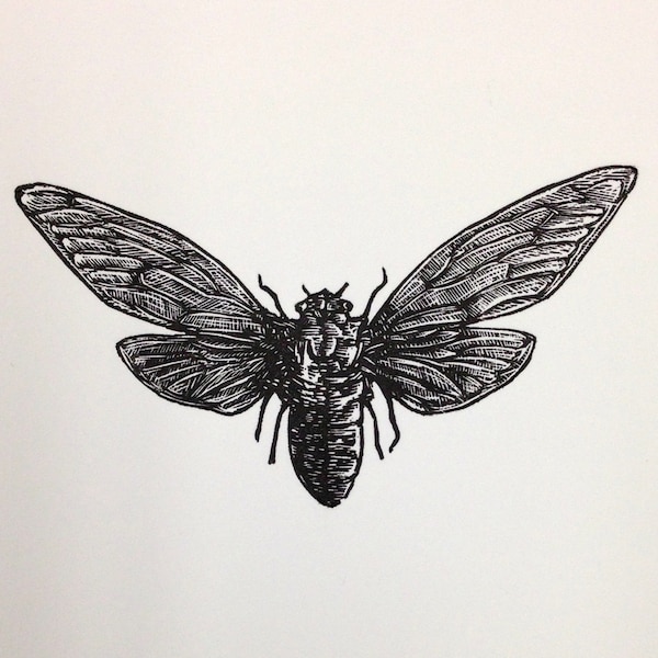 Cicada Limited Edition Letterpress Print