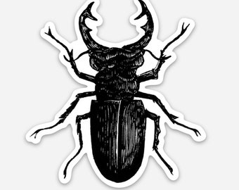 Stag Beetle VINYL STICKER!