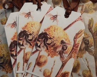 Honey Bee Tags-Gift Tags