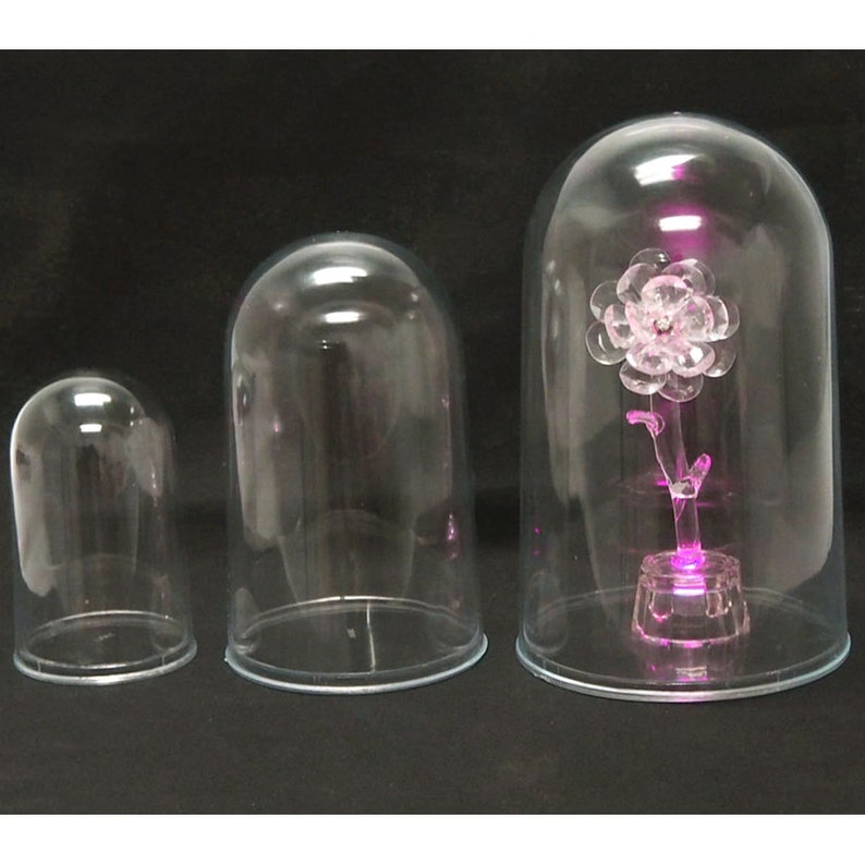 Plastic Dome Case Display Centerpiece With Clear Base Etsy