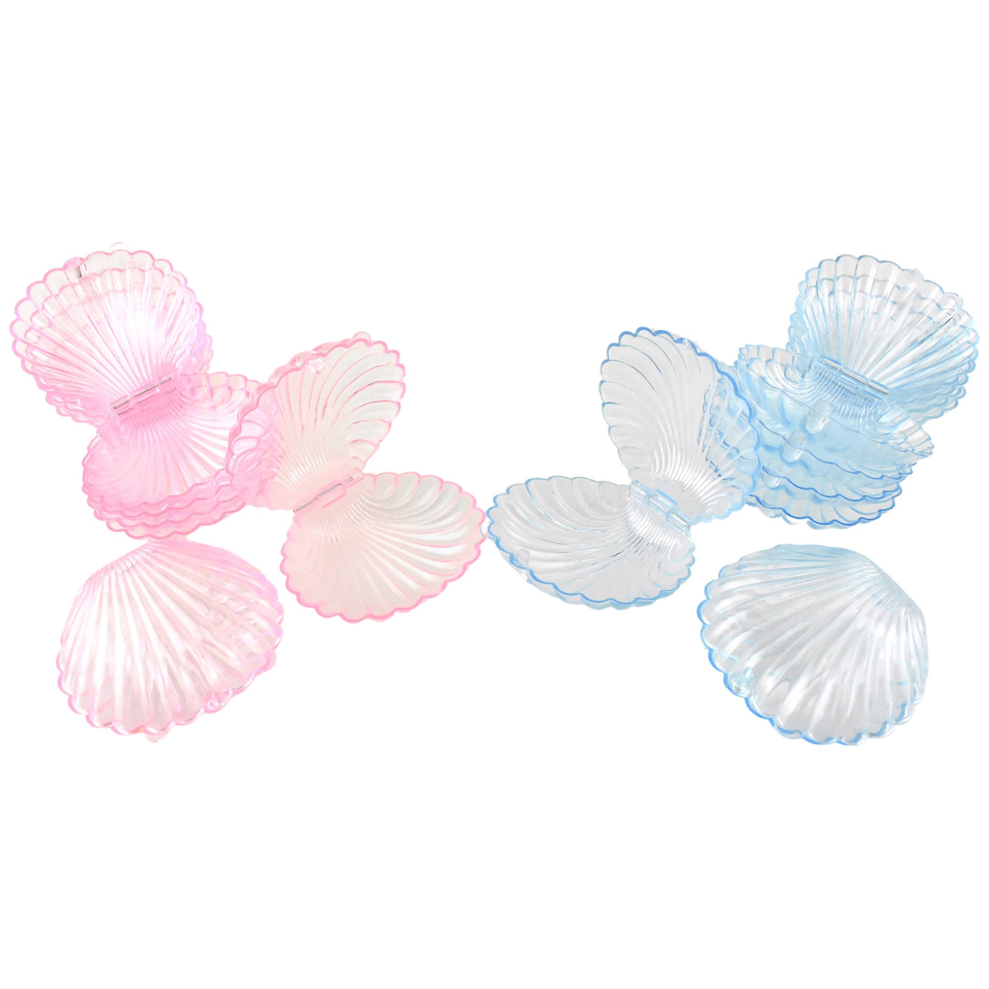 Acrylic Plastic Seashell Favor Cases 3-1/4-Inch 12-Count Etsy 日本