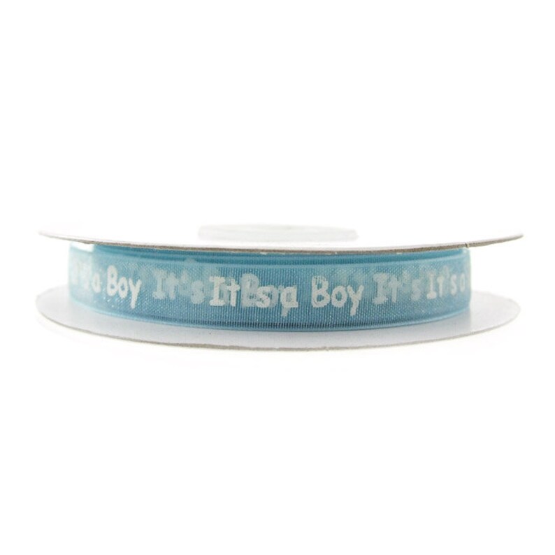 25-yard 38-inch Its A Boy Its A Girl Print Sheer Organza Ribbon