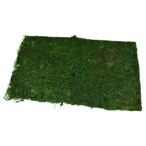SuperMoss Instant Green Sticky Moss Mat 18x16