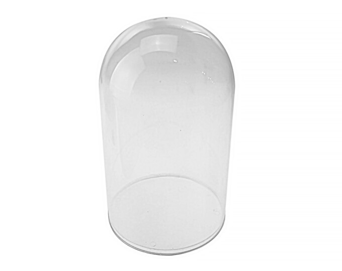 Plastic Dome Case Display Centerpiece With Clear Base Etsy