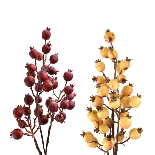 Pomegranate Flower Etsy