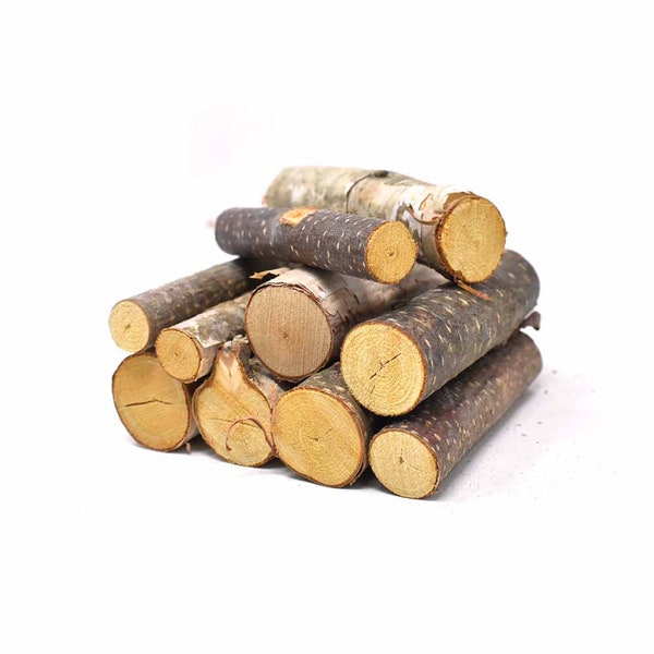 Assorted Birch Craft Mini Logs, Natural, 10-Piece