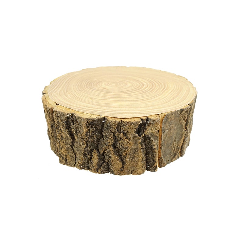 6-12-Inch Rustic Wood Tree Slice with Bark