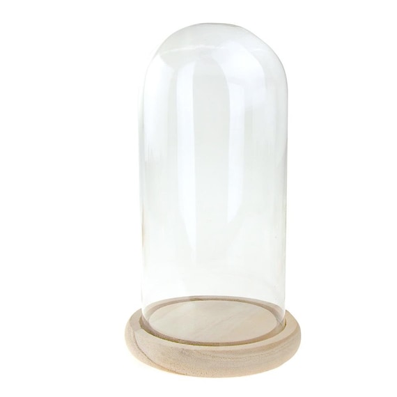 Clear Glass Dome Display With Wooden Base 10inch Etsy