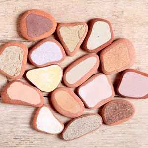 Cerámica marina genuina pequeña en marrón, beige, amarillo y gris para joyería / 15 piezas (sp-0015-19)