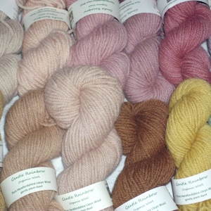 50g/100g skein of pure organic wool, DK yarn, plant-dyed, from our Herefordshire flock of Lleyn breed sheep. NEW: 100g multi-colour skeins. image 1