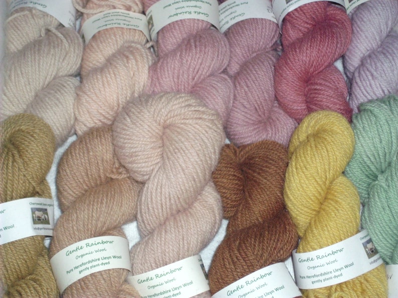 50g/100g skein of pure organic wool, DK yarn, plant-dyed, from our Herefordshire flock of Lleyn breed sheep. NEW: 100g multi-colour skeins. image 1
