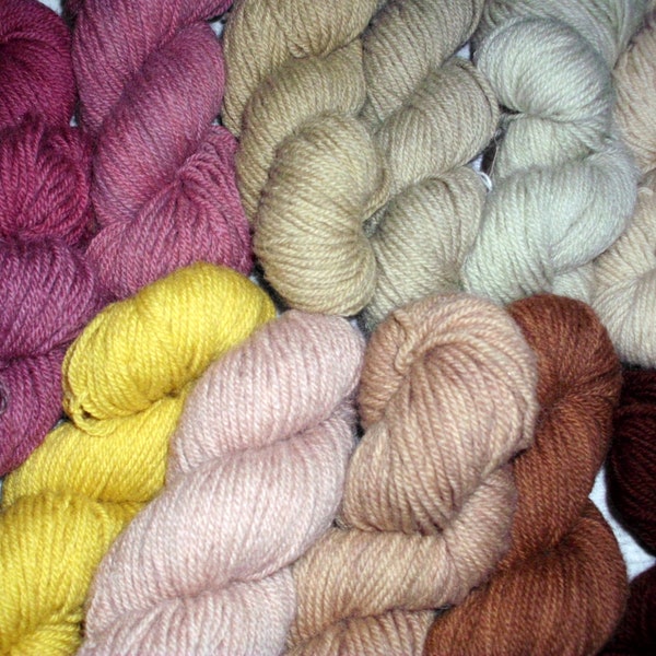 50g skein Organic Wool 3ply yarn (a lighter DK thickness) from our flock of Herefordshire Lleyn sheep, gently plant-dyed