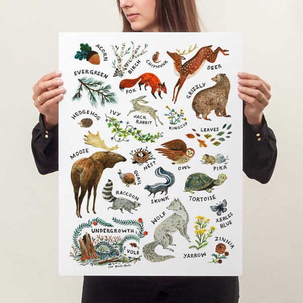 ABC Woodland Animal Alphabet - Art Print