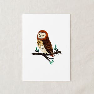 Owl - Art Print