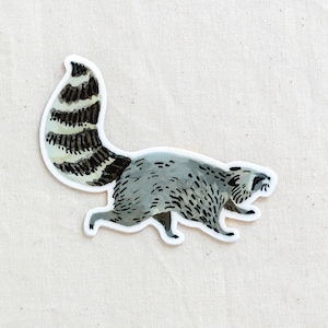 Raccoon Animal Sticker - Waterproof Vinyl Sticker