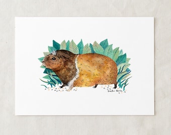 Guinea Pig - Art Print