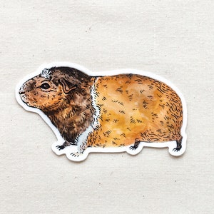 Guinea Pig Sticker - Waterproof Vinyl Sticker