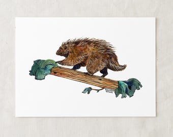 Porcupine - Art Print