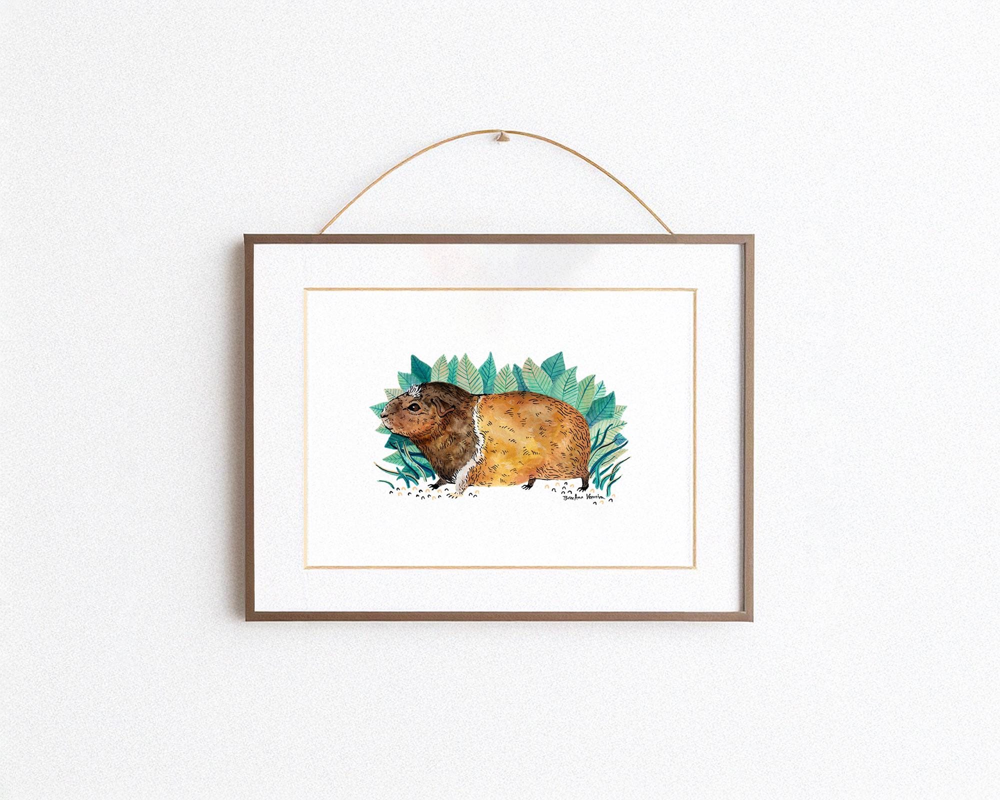 Guinea Pig - Art Print