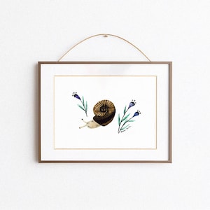 Snail - Art Print