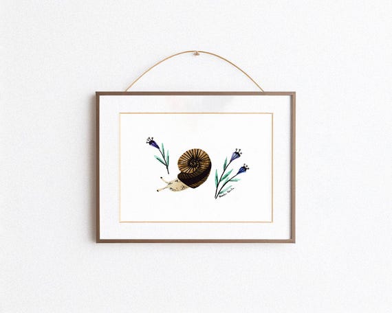 Snail - Art Print