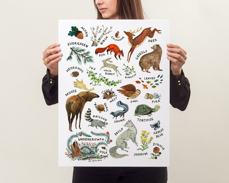 ABC Nature Alphabet Wilderness Art Print 16 x 20 inches
