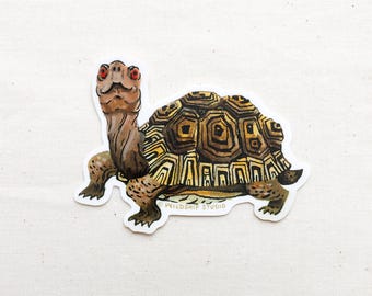 Box Turtle Animal Sticker - Waterproof Vinyl Sticker