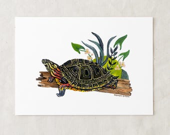 Painted Turtle - Art Print