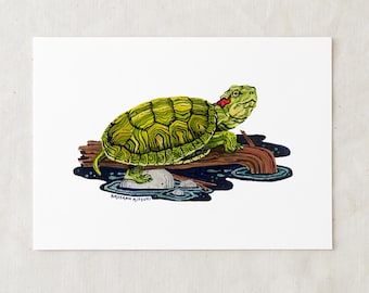 Red-eared Slider Turtle - Art Print