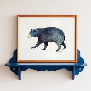Black Bear - Art Print